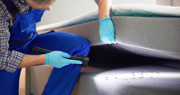 Best Flea Control Services  in River Rouge, MI